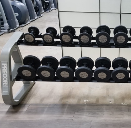 A row of dumbbells on a rack in a gym.