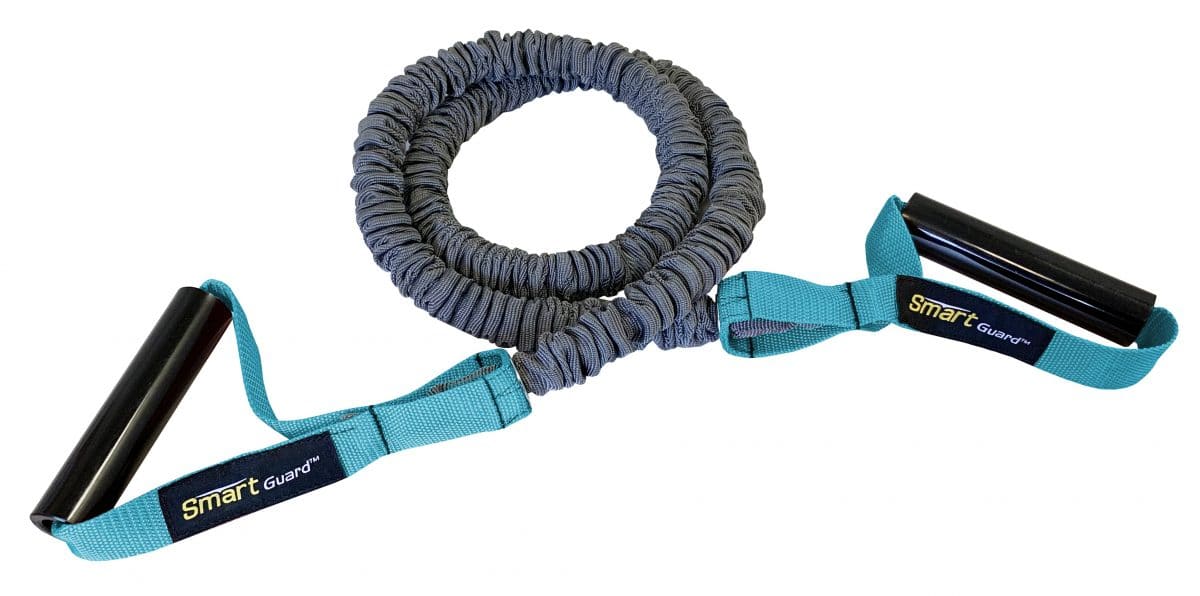 A dog leash with a blue handle on a white background